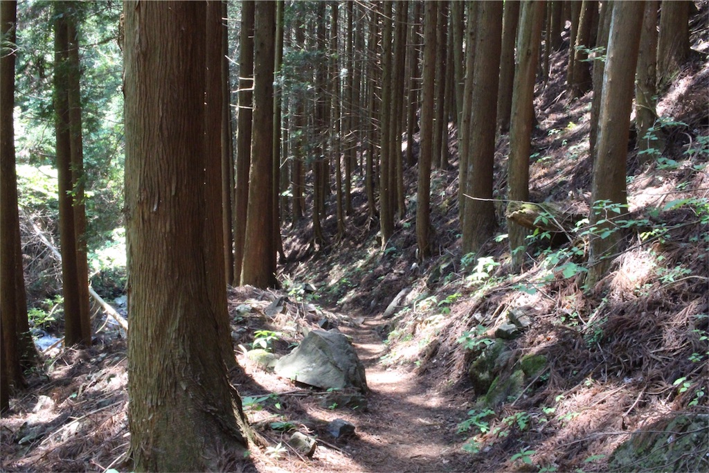 f:id:naturez:20160522140733j:image f:id:naturez:20160522140733j:image