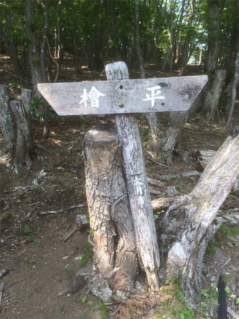 f:id:naturez:20160522141431j:image f:id:naturez:20160522141431j:image