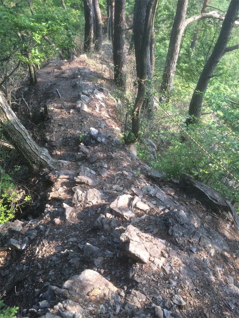 f:id:naturez:20160522141725j:image f:id:naturez:20160522141725j:image