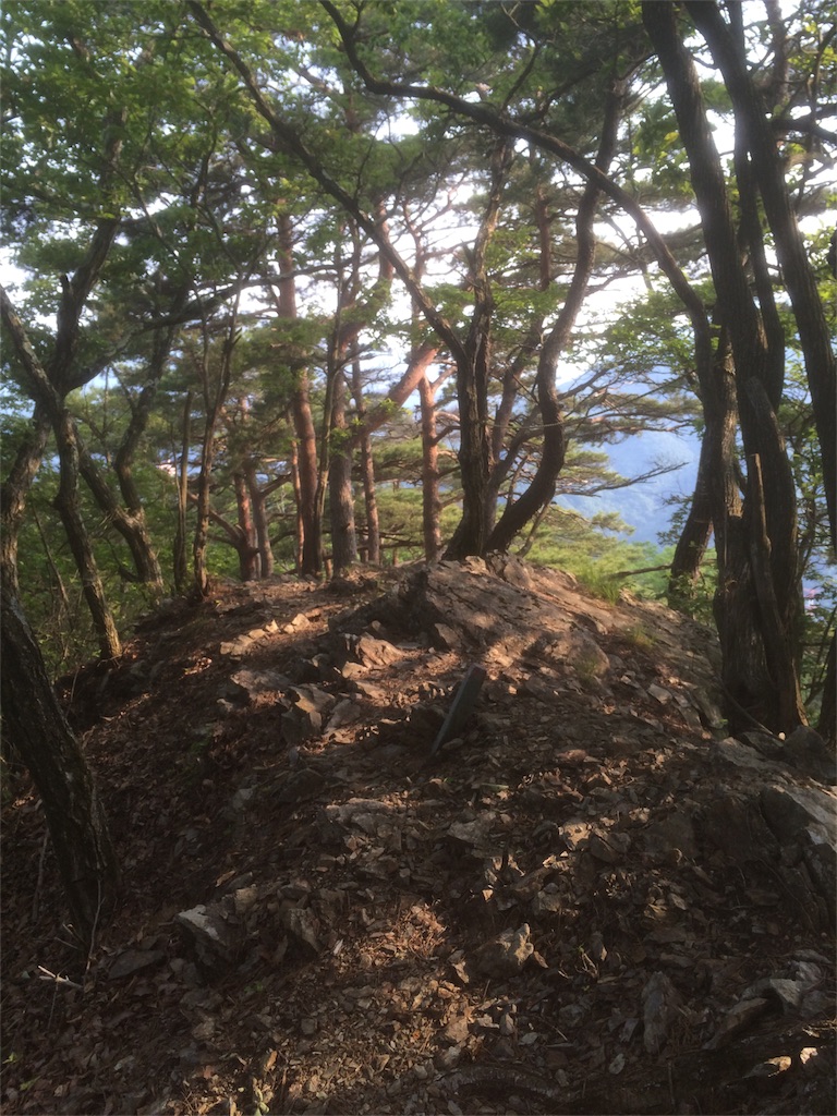 f:id:naturez:20160522141805j:image f:id:naturez:20160522141805j:image