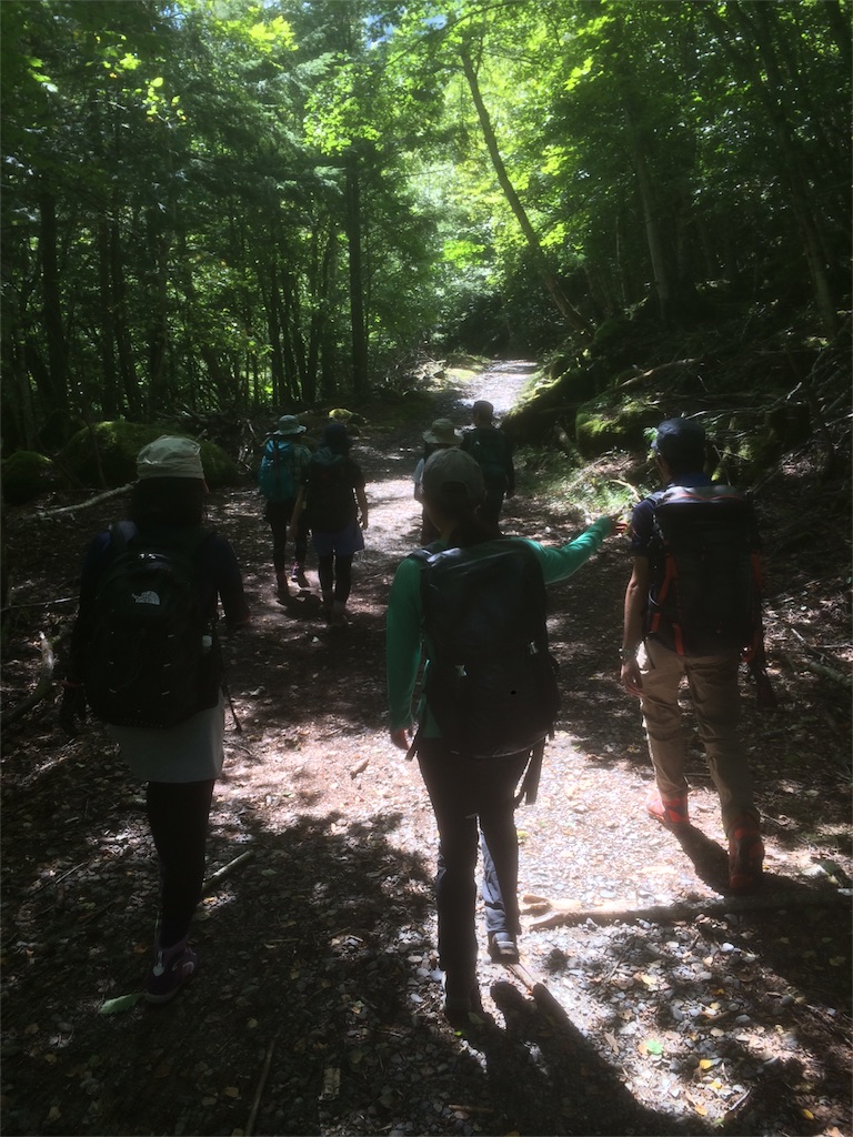 f:id:naturez:20160917002256j:image