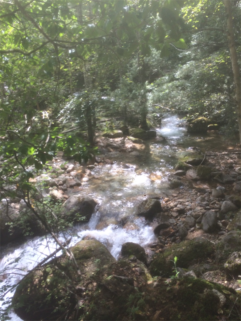 f:id:naturez:20160917002329j:image