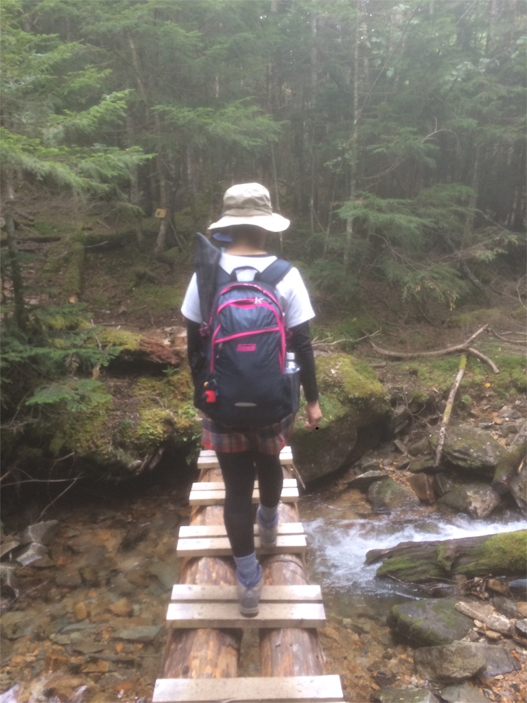 f:id:naturez:20160917002459j:image