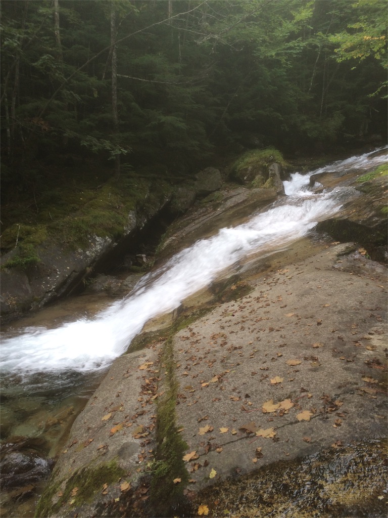 f:id:naturez:20160917002639j:image