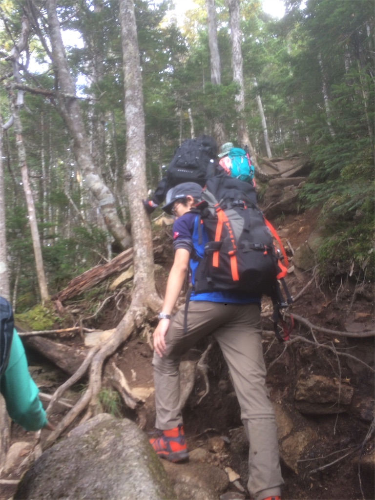 f:id:naturez:20160917003115j:image