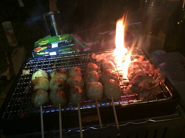 f:id:naturez:20161102000205j:image