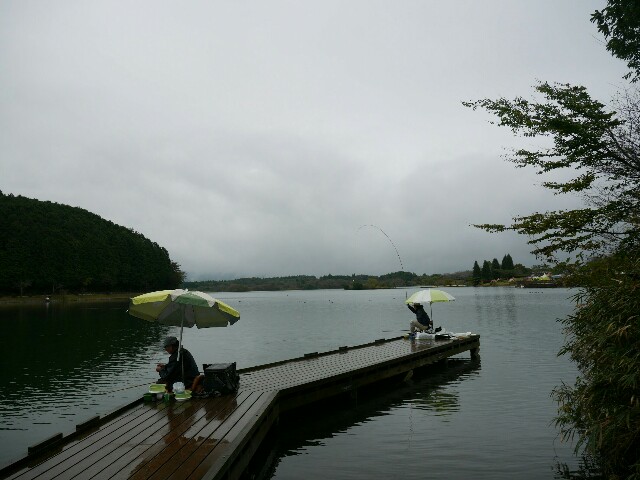 f:id:naturez:20161102000258j:image