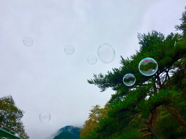 f:id:naturez:20161102000309j:image