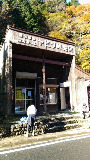 f:id:naturez:20161115125710j:image