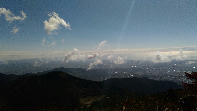 f:id:naturez:20161117125339j:image