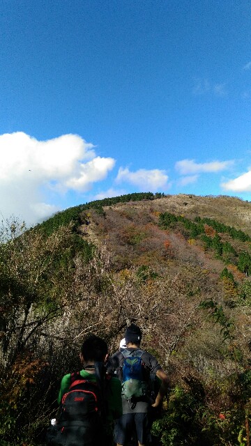 f:id:naturez:20161117125419j:image