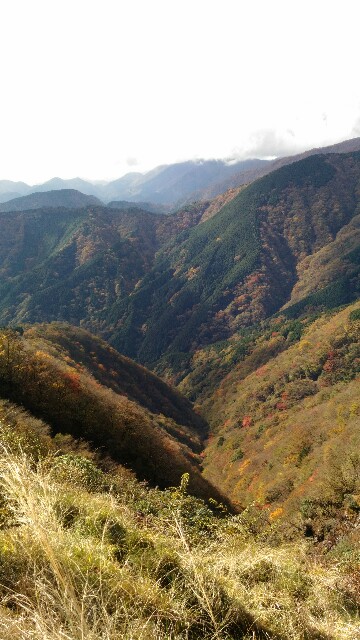 f:id:naturez:20161117125939j:image