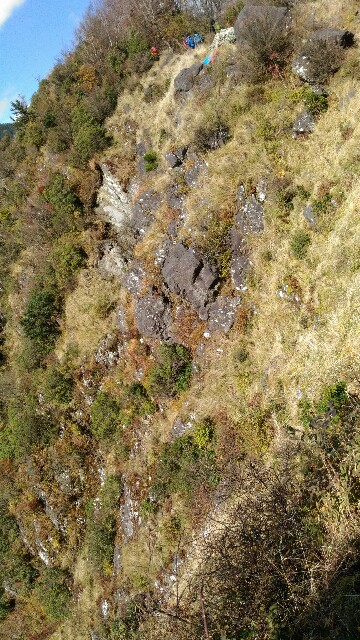 f:id:naturez:20161117125958j:image