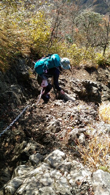 f:id:naturez:20161118123437j:image