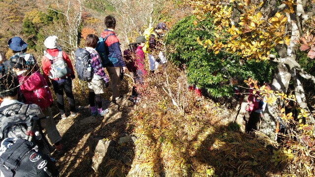 f:id:naturez:20161118123520j:image