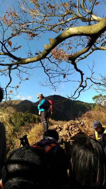 f:id:naturez:20161118123542j:image