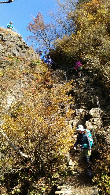 f:id:naturez:20161118123642j:image