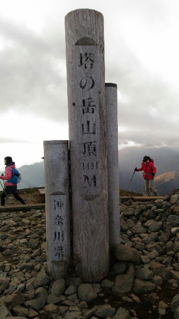 f:id:naturez:20161118123744j:image