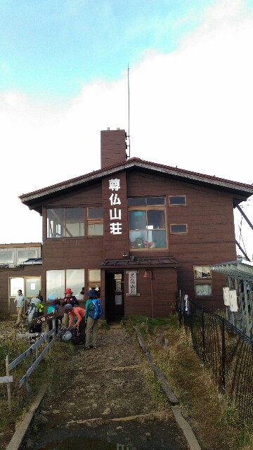 f:id:naturez:20161118123805j:image