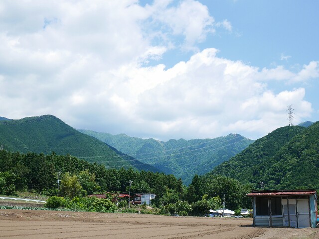 f:id:naturez:20170605112307j:image f:id:naturez:20170605112307j:image