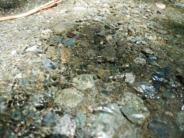 f:id:naturez:20170605112824j:image f:id:naturez:20170605112824j:image