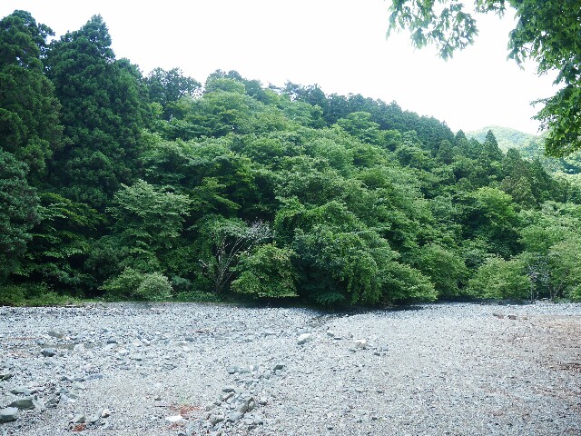 f:id:naturez:20170605113044j:image f:id:naturez:20170605113044j:image