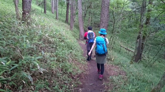 f:id:naturez:20170917233316j:image