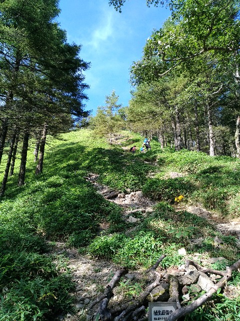 f:id:naturez:20170918121549j:image f:id:naturez:20170918121549j:image