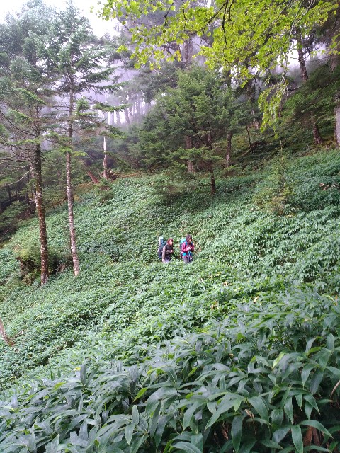 f:id:naturez:20170918121632j:image f:id:naturez:20170918121632j:image