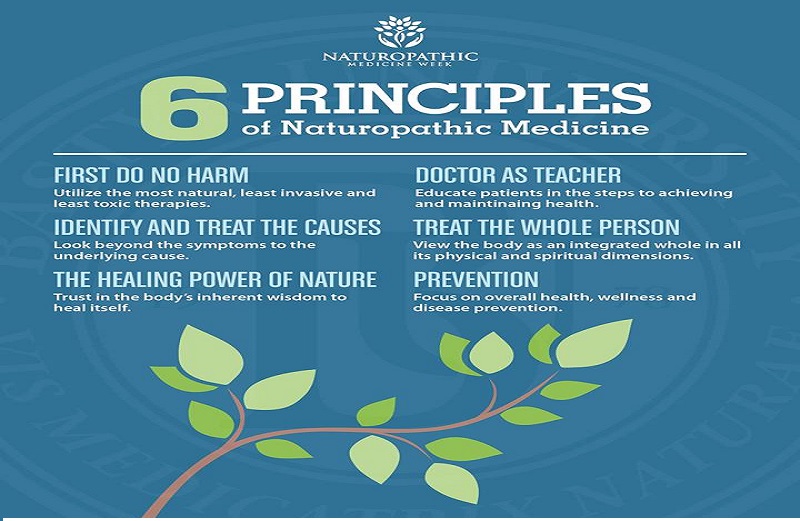 f:id:naturopathic:20191030173043j:plain f:id:naturopathic:20191030173043j:plain