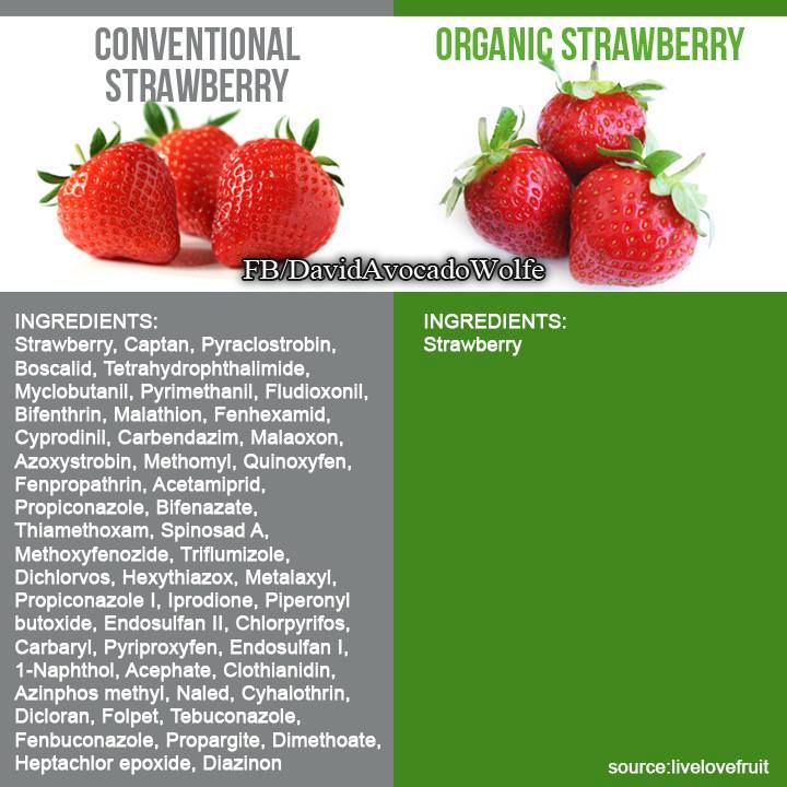 f:id:naturopathic:20191030173124j:plain f:id:naturopathic:20191030173124j:plain