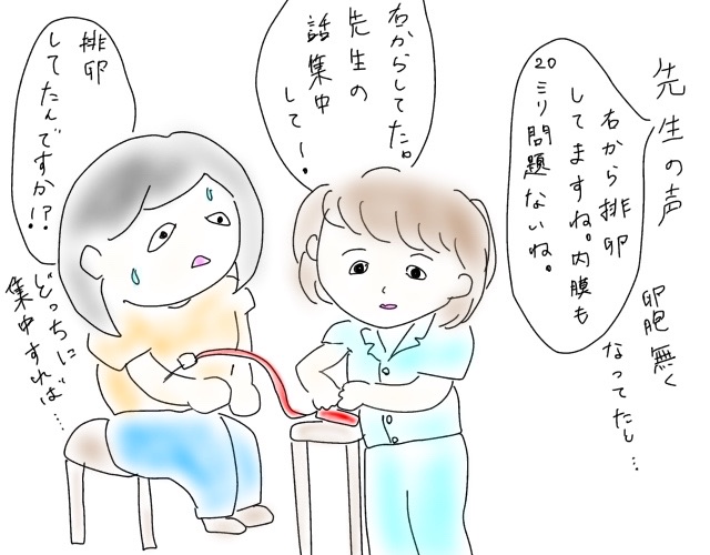 f:id:naushika329:20180906215639j:plain