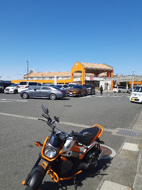 f:id:navi110:20220321162038j:image