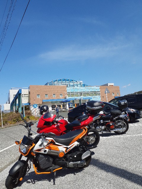 f:id:navi110:20220321163322j:image