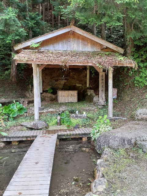 f:id:navi110:20220619200754j:image