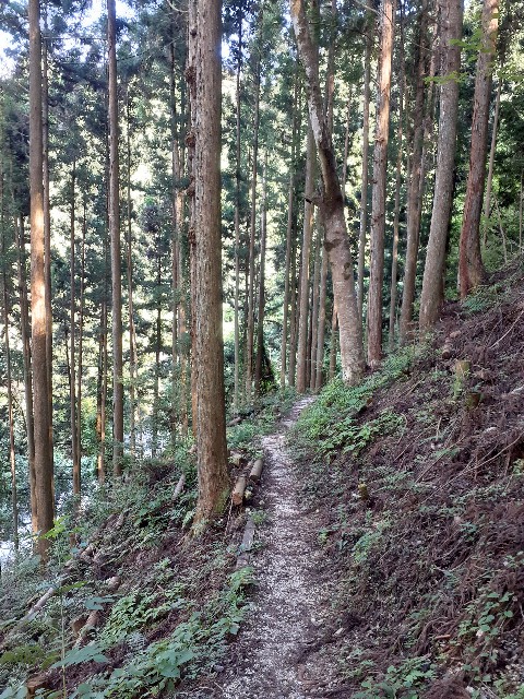 f:id:navi110:20220731160937j:image