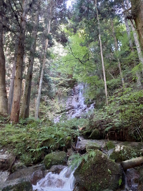 f:id:navi110:20220731161042j:image