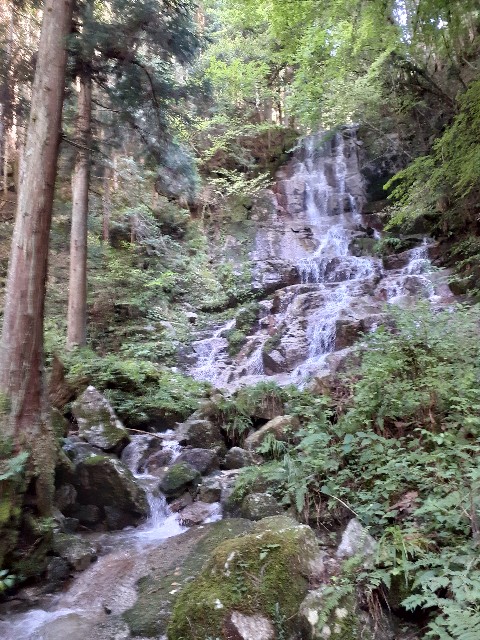 f:id:navi110:20220731161207j:image