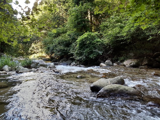 f:id:navi110:20220731193528j:image