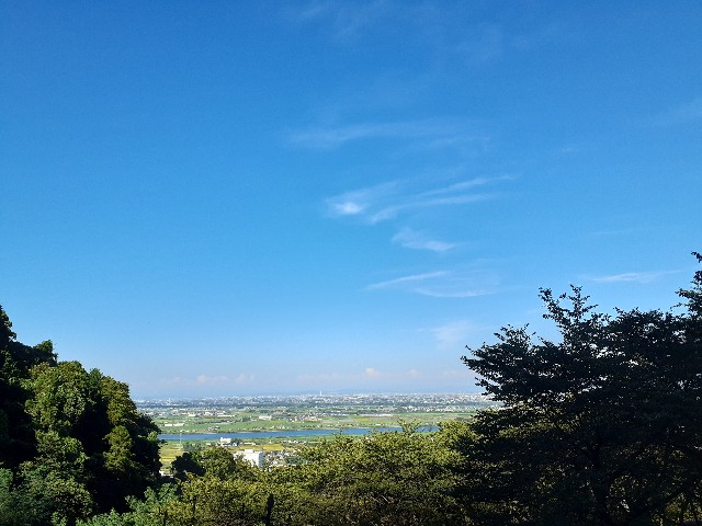 f:id:navi110:20220828223809j:image