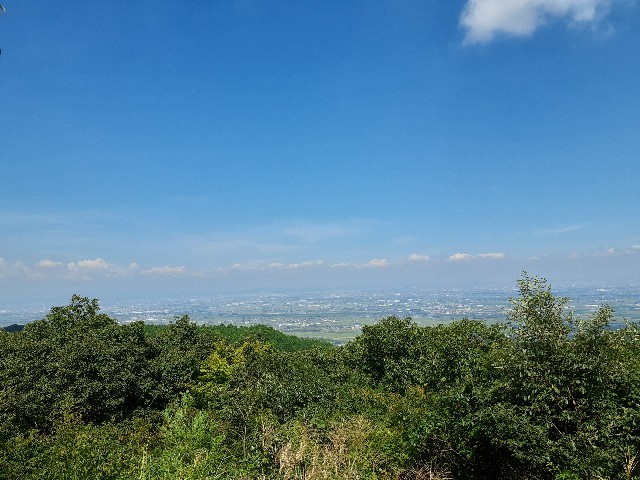 f:id:navi110:20220911194707j:image