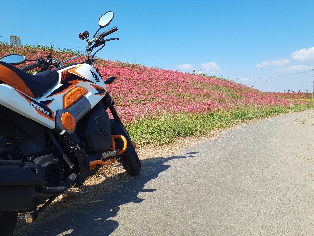 f:id:navi110:20221001164714j:image