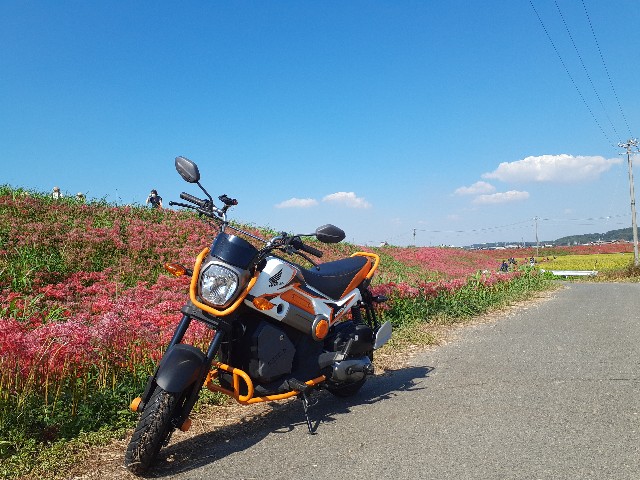 f:id:navi110:20221001164748j:image