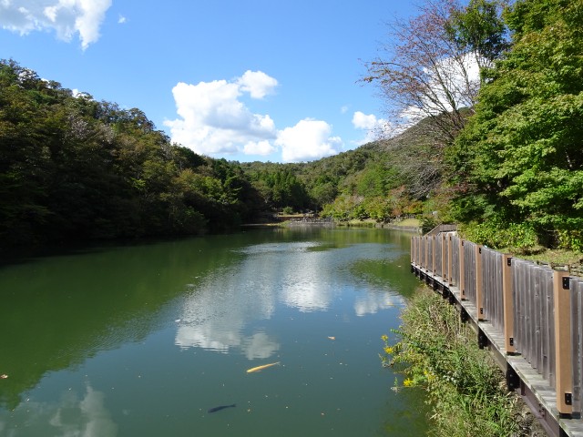 f:id:navi110:20221016162107j:image