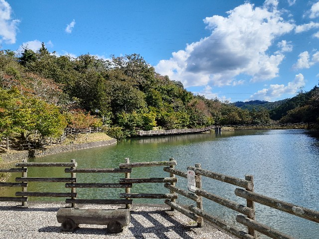 f:id:navi110:20221016162248j:image