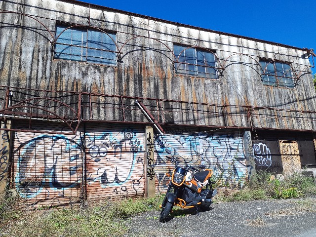 The Ruins of Detroit 大型廃墟写真集【洋書】 The Ruins of Detroit 大型廃墟写真集【洋書】 本