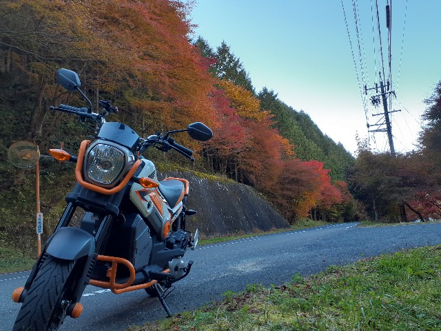 f:id:navi110:20221106181340j:image