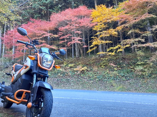 f:id:navi110:20221106181414j:image