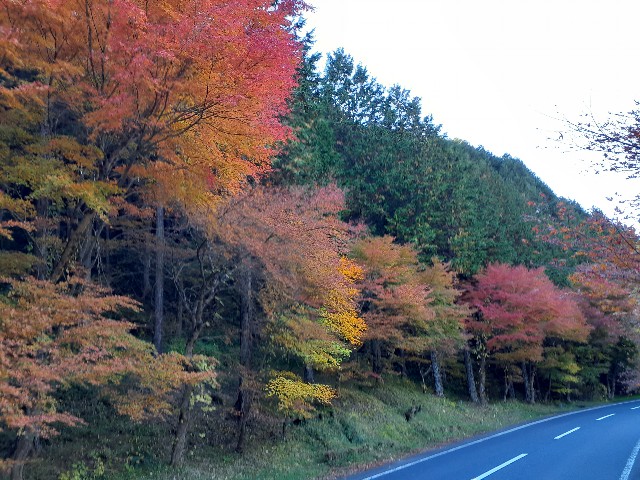 f:id:navi110:20221106190239j:image