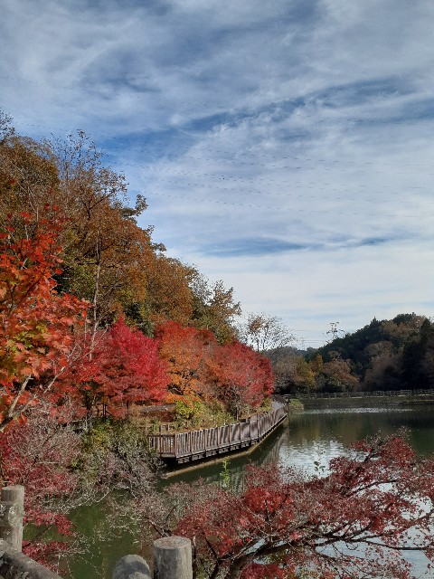 f:id:navi110:20221119182223j:image